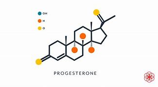 Image result for Progesterone
