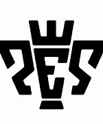 Image result for PES Logo On Transparent Background