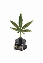 Image result for Marijuana Award Trophies