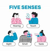 Image result for Senses Illustration