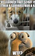 Image result for Ice Age Scrat Good Morning Memes