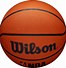 Image result for Wilson Basketball NBA New Hollow