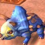Image result for Best Looking Pets in WoW