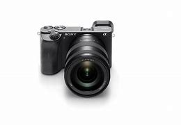 Image result for Sony EVF A6600