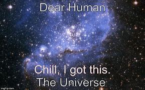 Image result for Universe 25 Meme