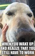 Image result for Wake Up Dog Meme