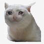 Image result for Cat Crying Meme Mouth