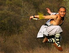 Image result for Shaolin Kung Fu Art