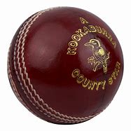 Image result for Cricket Bat Ball