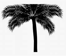 Image result for Palm Tree Silhouette Illustrations Free