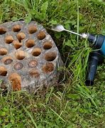 Image result for Removing Tree Stumps