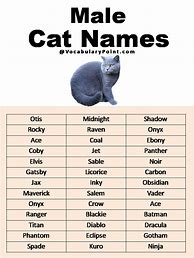 Image result for Unique Male Cat Names