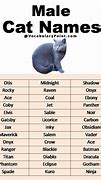 Image result for Best Male Cat Names
