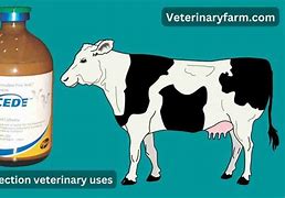Image result for Excede Antibiotic Cattle