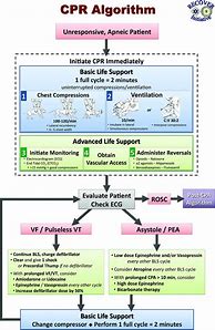 Image result for Veterinary CPR Chart