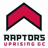 Image result for Cool Raptors Logo
