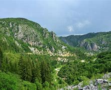 Image result for zlatar