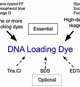 Image result for DNA Loading Dye