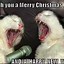 Image result for Wishing You a Merry Christmas and Happy New Year Meme