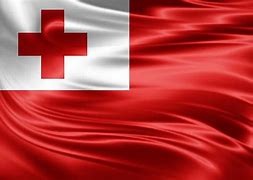 Image result for Easy Tongan Flag