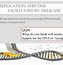 Image result for DNA Replication Okazaki Fragments