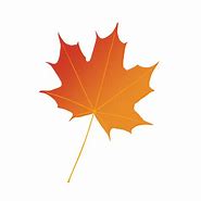 Image result for Maple Leaf Illustration
