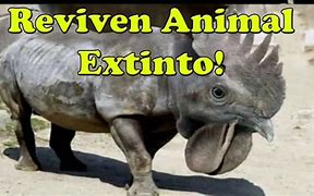 Image result for extinto