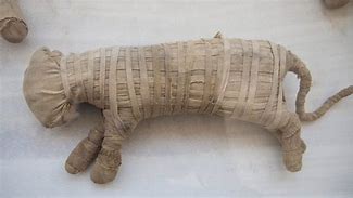 Image result for Pepi Mummy