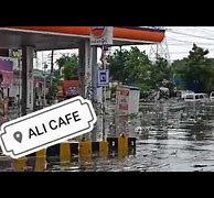 Image result for alicanfe