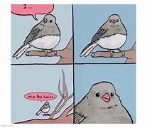 Image result for Sad Bird Meme