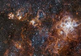 Image result for Galaxy Naxus