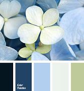 Image result for Baby Blue Color Combos