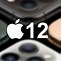 Image result for iPhone 12 Models