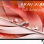 Image result for Sony 50 Inch 4K TV