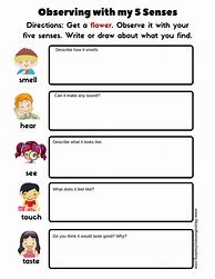 Image result for First Grade Five Senses Worksheet
