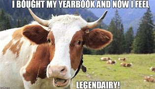 Image result for Legendary Cow Meme