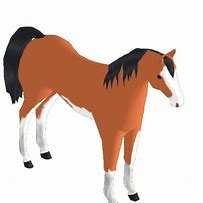 Image result for Arabian Horse Tail