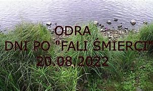 Image result for co_to_za_zatoń_dolna