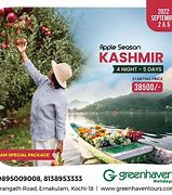 Image result for Kashmir Apple Season