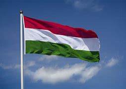 Image result for Hungary Flag