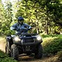 Image result for 08 Kawasaki Brute Force 750