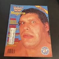 Image result for WWF Wrestling Figures 80s