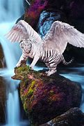 Image result for Mythical Tiger with Wings