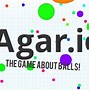Image result for agareo