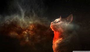 Image result for Galaxy Cat Mouth