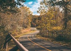 Image result for Curved Leading Lines Photography
