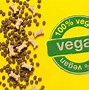 Image result for Best Vegan Dog Food