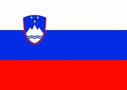 Image result for Slovenia Flag Print