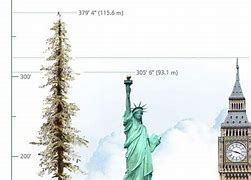 Image result for 300 Feet Tall Comparison