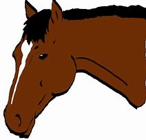Image result for Cartoon Horse Head Clip Art